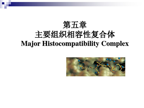 MHC