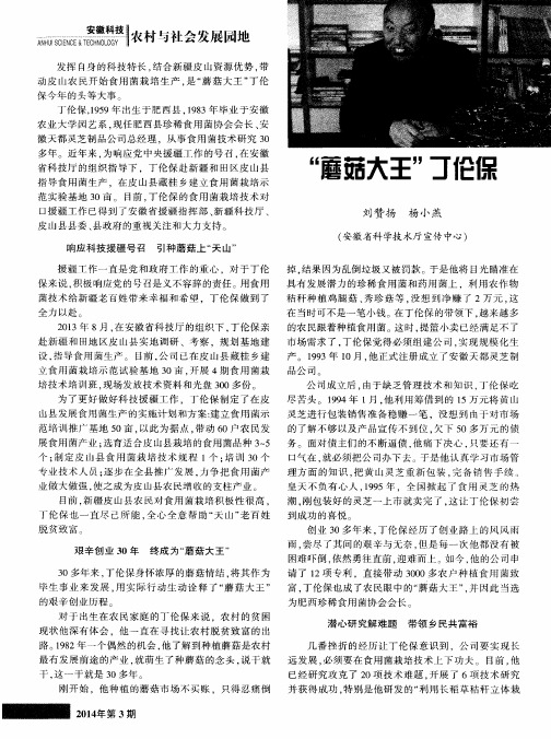 “蘑菇大王”丁伦保