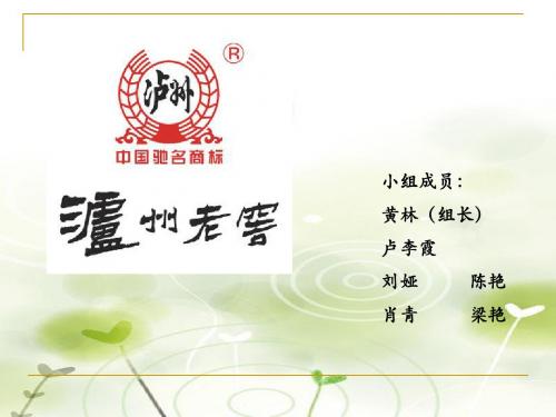 第六组 泸州老窖利润现金流量表