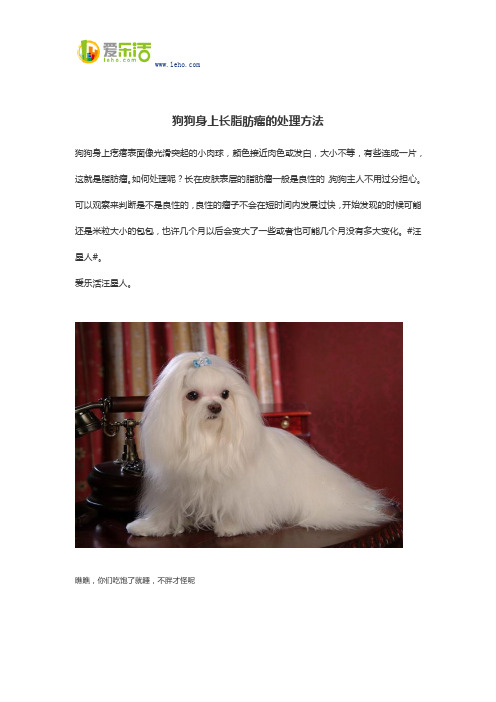 狗狗身上长脂肪瘤的处理方法