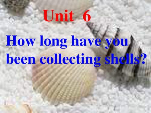八年级英语下学期Unit6-How-long-have-you-been-collecting-shells新目标