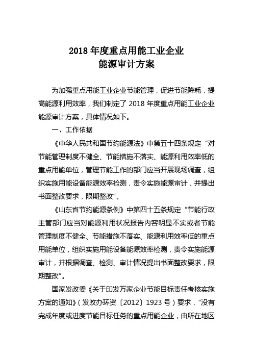 重点用能工业企业能源审计工作方案