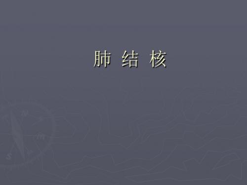 肺结核ppt医学课件