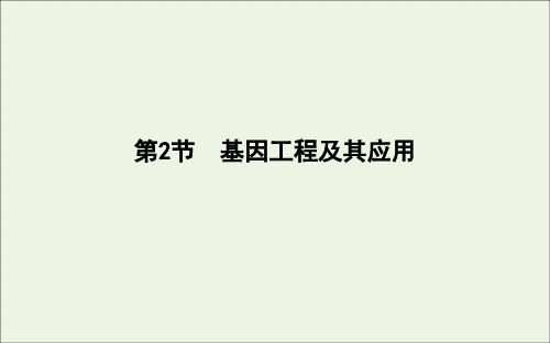 2020版高中生物第6章从杂交育种到基因工程第2节基因工程及其应用课件新人教版必修2