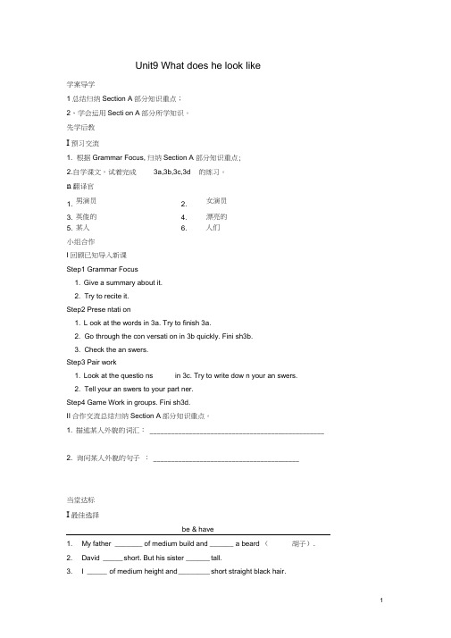 七年级英语下册Unit9Whatdoeshelooklike第3课时导学案新人教版