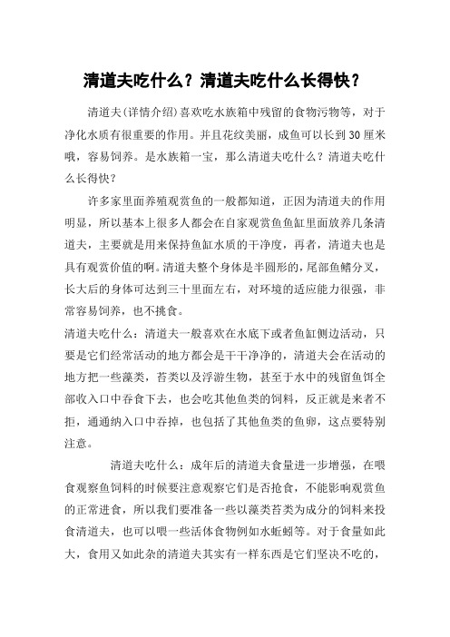 清道夫吃什么？清道夫吃什么长得快？