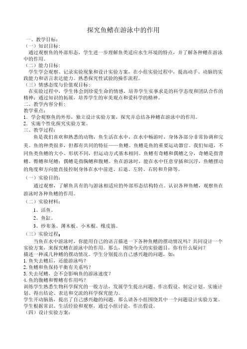 探究鱼鳍在游泳中的作用