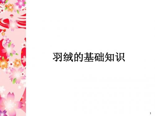 羽绒知识
