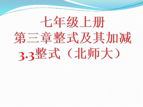 北师大版七年级数学上册第三章整式及其加减整式课件(共20张)