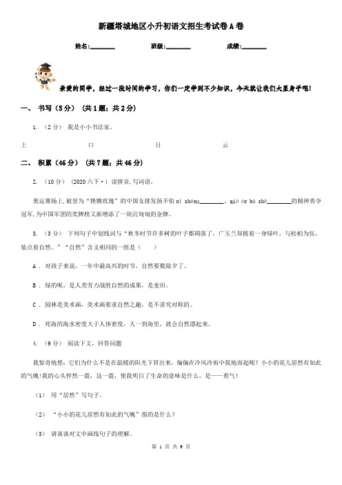 新疆塔城地区小升初语文招生考试卷A卷