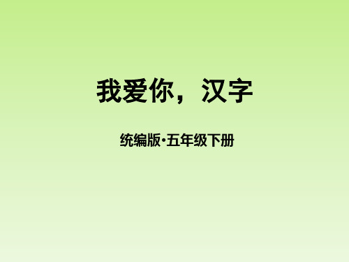 五年级下册语文课件-第三单元(二)我爱你,汉字 部编版(共22张PPT)(优质版)
