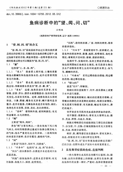 鱼病诊断中的“望、闻、问、切”