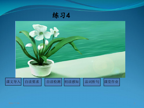 苏教版二级下语文《练习4》(共35张PPT)