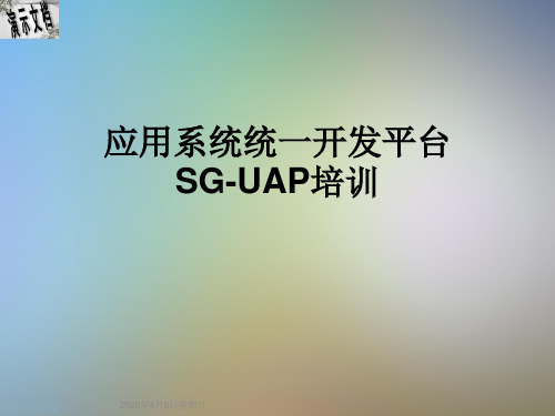 应用系统统一开发平台SG-UAP培训