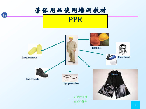 PPE使用培训ppt课件