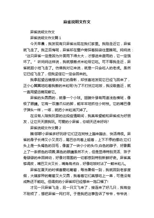 麻雀说明文作文