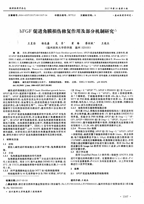 bFGF促进角膜损伤修复作用及部分机制研究