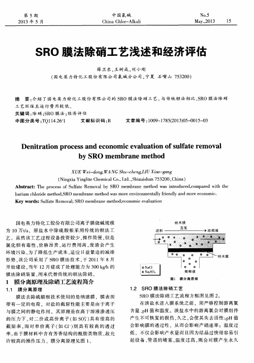 SRO膜法除硝工艺浅述和经济评估