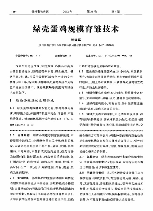 绿壳蛋鸡规模育雏技术