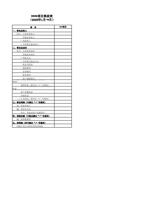 物业公司某项目损益表-2020年1月-11月