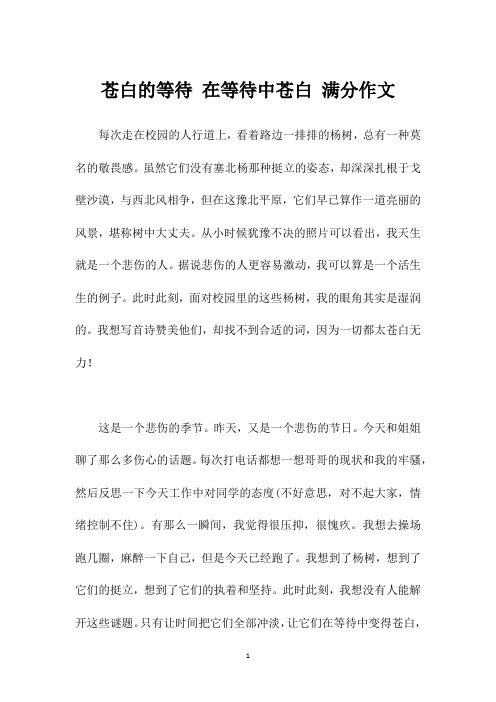 苍白的等待 在等待中苍白 满分作文