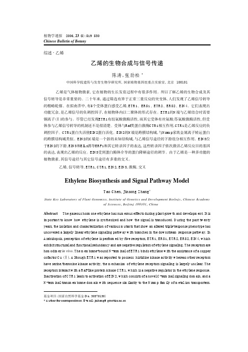 乙烯的生物合成与信号传递