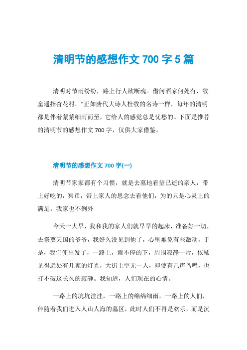 清明节的感想作文700字5篇
