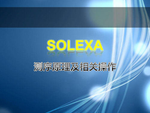 solexa测序原理及操作