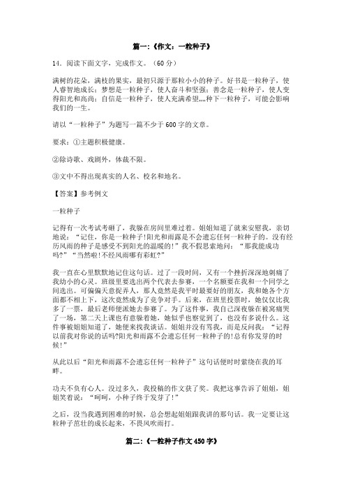 关于一粒什么的种子的作文500字