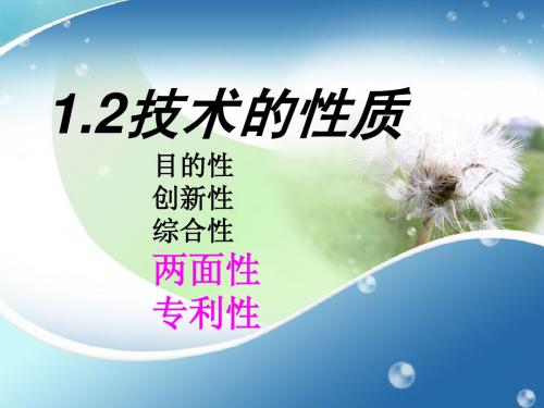 1.2技术的性质hn2