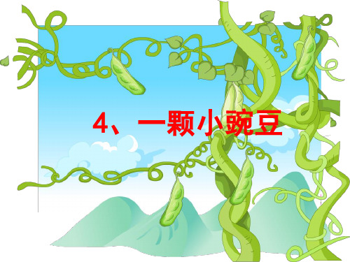 4、一颗小豌豆