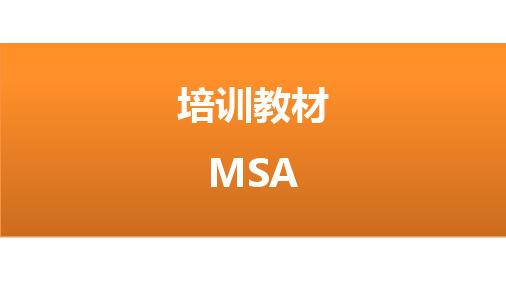 培训教材MSA