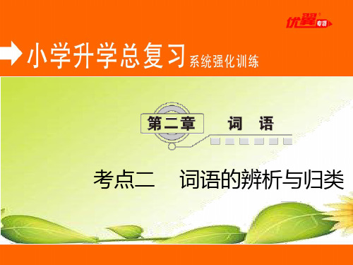 小升初语文总复习第2章(2)词语的辨析与归类(练习)ppt课件完美版