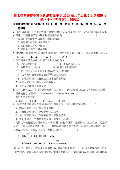 孝感市孝南区肖港初级中学九年级化学上学期练习题(十)