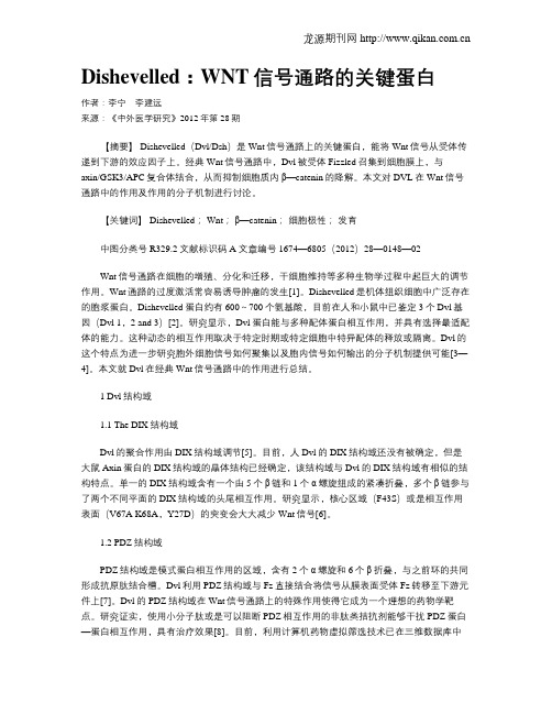 Dishevelled：WNT信号通路的关键蛋白