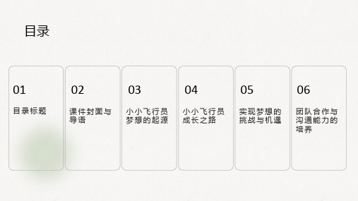 小学班会课件-梦想翅膀的小小飞行员