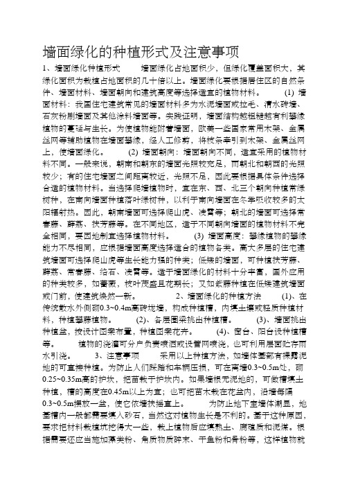 墙面绿化的种植形式及注意事项
