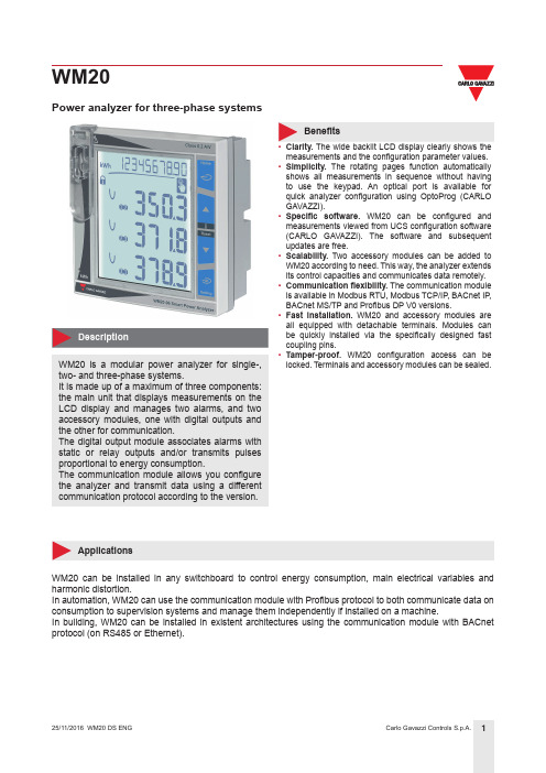 卡洛·加华齐控制系统 WM20 三相系统电能分析仪说明书