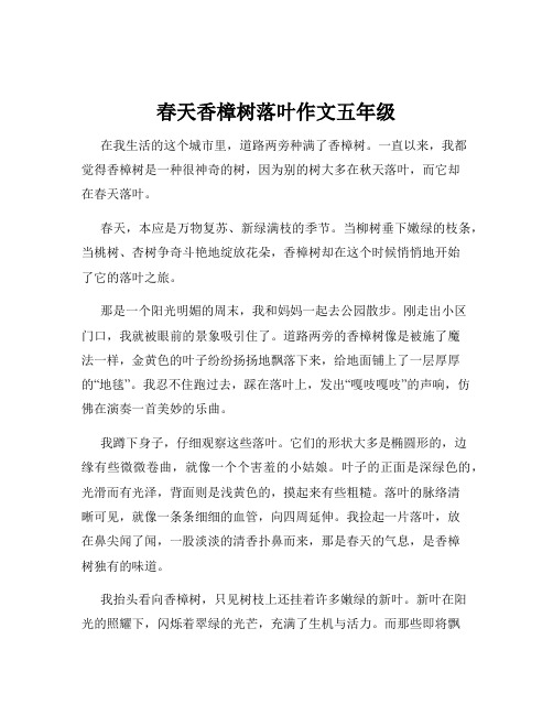 春天香樟树落叶作文五年级