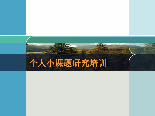 小课题研究培训