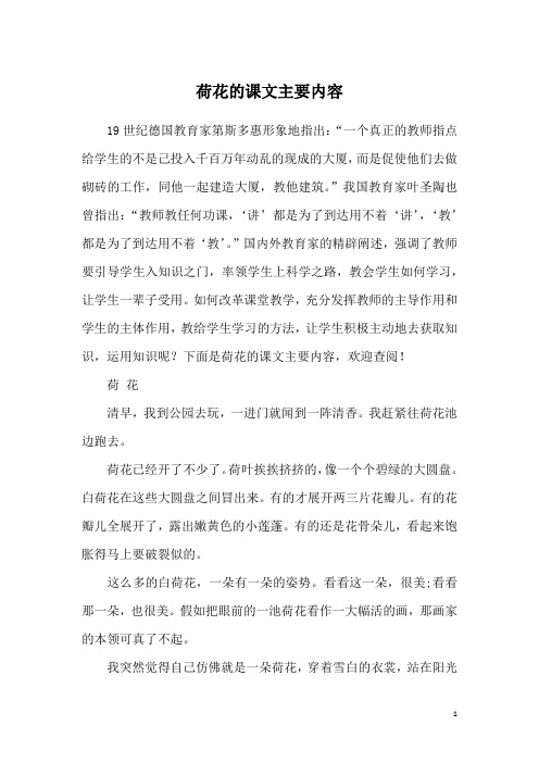 荷花的课文主要内容