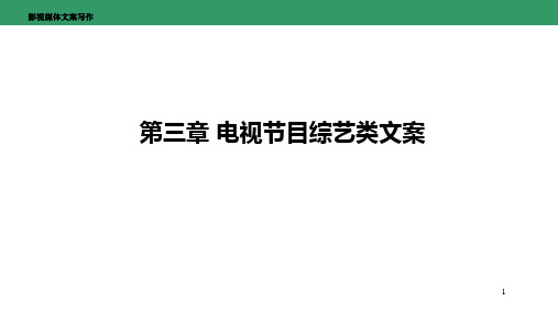 电视节目综艺类文案