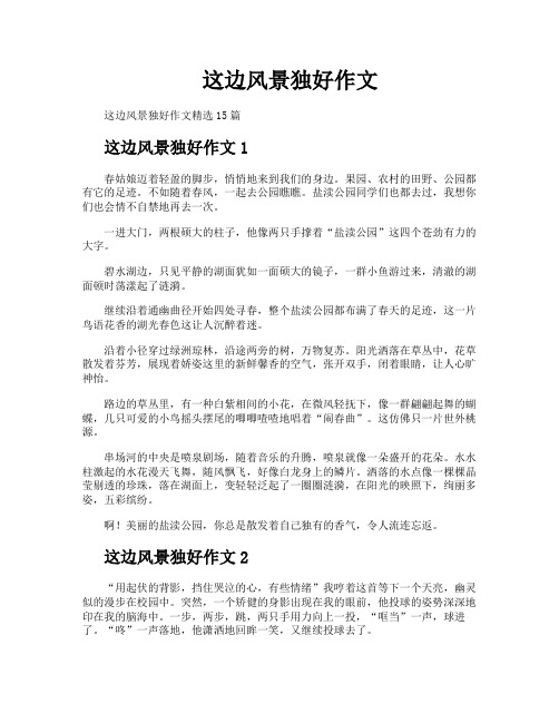 这边风景独好作文