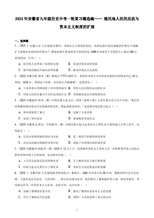 2024年安徽省九年级历史中考一轮复习题选编—— 殖民地人民的反抗与资本主义制度的扩展(含答案)