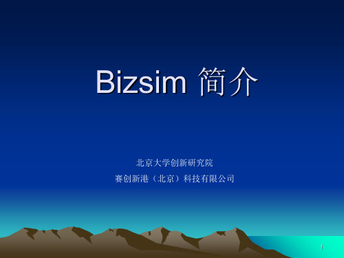 bizsim介绍 ppt课件
