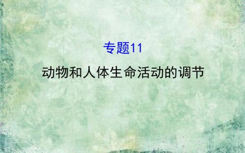 《世纪金榜》2019届高考生物二轮复习课件：专题十一 动物和人体生命活动的调节 (共89张PPT)