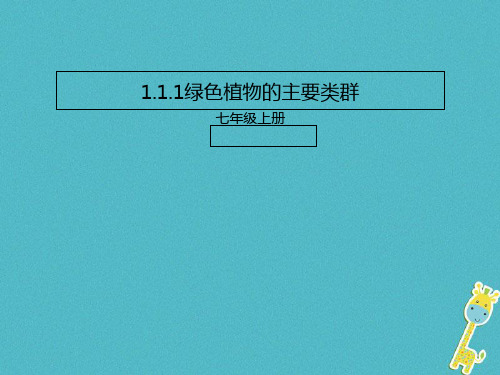 生物圈中的绿色植物PPT课件(25份)