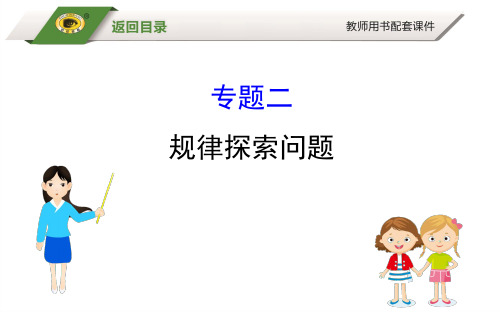 数学20版初中新课标全程复习方略湘教专题二