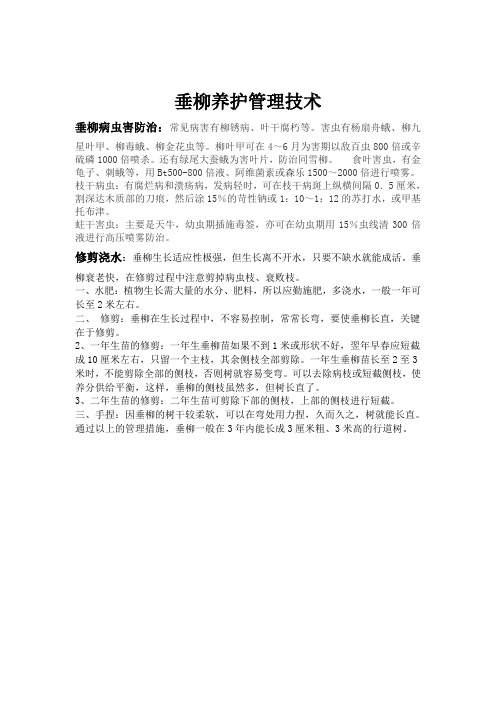 垂柳养护方案