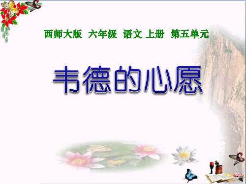 六年级上册语文第19课《韦德的心愿》课件PPT